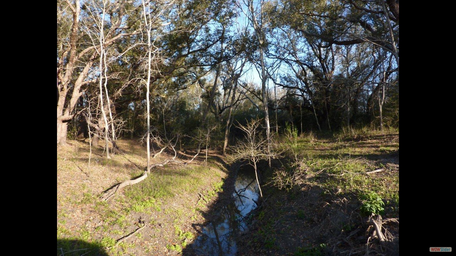 Chocolate Bayou Project