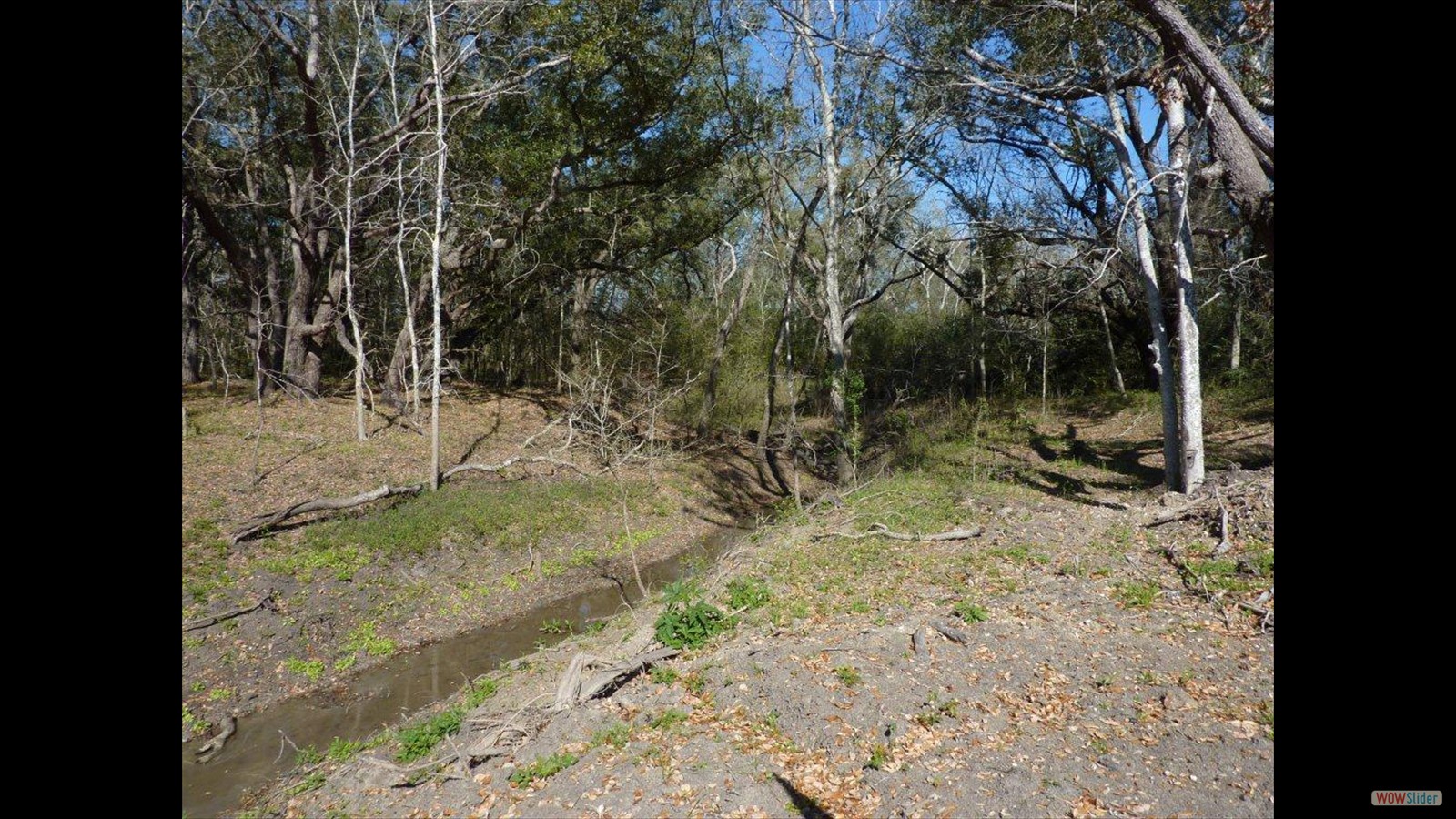 Chocolate Bayou Project